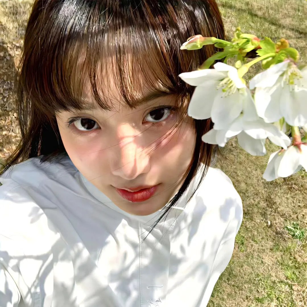 皮尔森